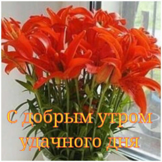S_dobrym_utrom-1810