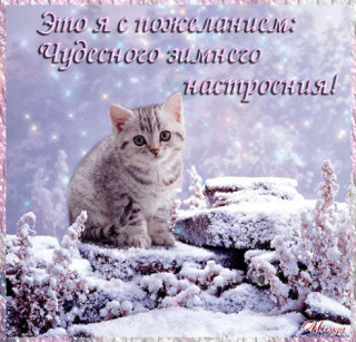 CHUDESNOGO_ZIMNEGO_NASTROENIYA