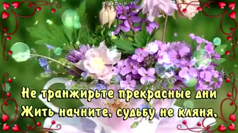 доброе утро хорошего дня