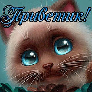 004_Приветик