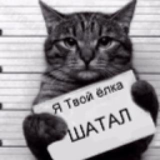 Шатал
