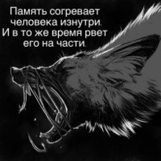 75492834_f_201_200_0