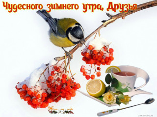 Чудесного_зимнего_утра_11