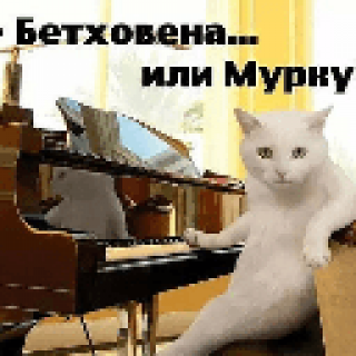 Мурка
