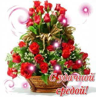 S_udachnoj_sredoj_12