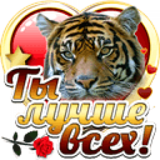 Ты_лучше_всех_тигр