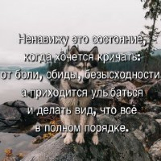 223838962_p_201_200_0