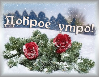 Доброе_утро_13
