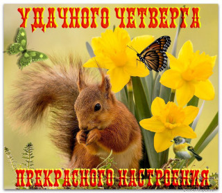 Udachnogo_chetverga_