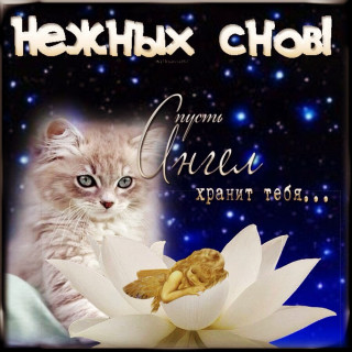 Нежных Снов