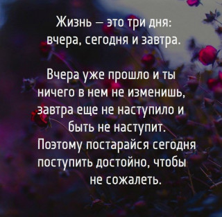 qDpWXXarWFE