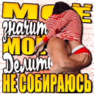 81