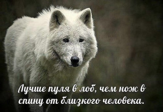 Лучше пуля в лоб