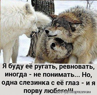 порву любого