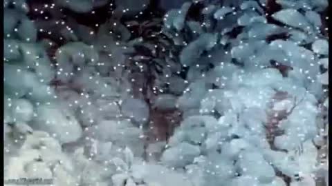 Российский Дед Мороз
