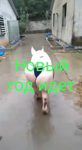 Новый_год_идет