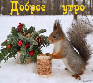 dobroe_utro-1612