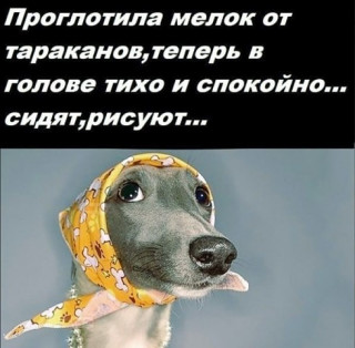ПРОГЛОТИЛА___