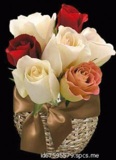 FB_IMG_15235419174009583