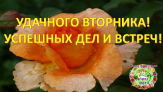 Удачного_вторника_18