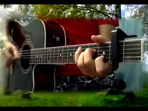 Белая береза