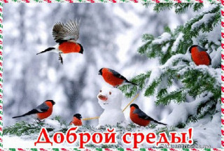 Доброй_среды_19