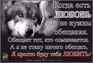 Я просто буду тебя любить