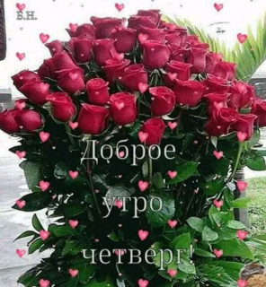 Dobroe_utro_20