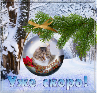 Uzhe_skoro_