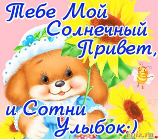 солнечный привет
