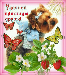 udachnoj_pyatnicy_dzbya_