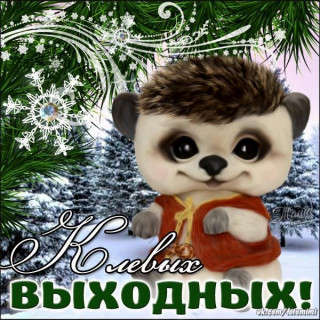 Klevyh_vyhodnyh_
