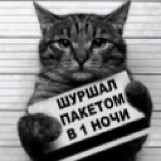 Шуршал_пакетом