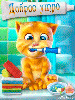 dobroe-utro-kotik_orig