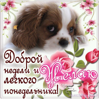 dobroj_nedeli_i_legkogo_ponedelbnika_