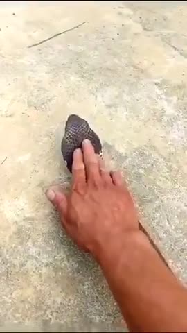 VID-20181116-WA0009