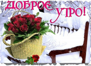 Доброе Утро