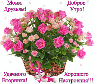 Moim_dzbyam_Dobroe_utro_Udachnogo_vtornika_25