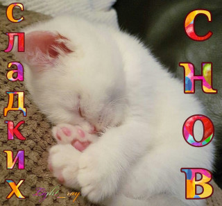 Сладких_снов