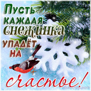 Пусть каждая снежинка
