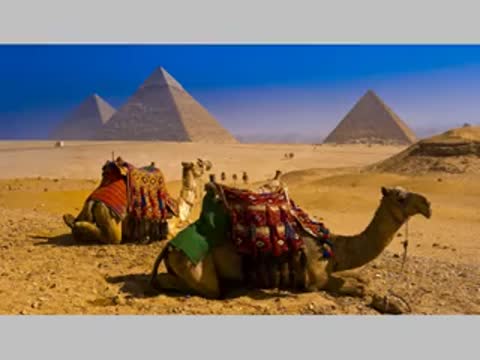 скрипка_и_дудук