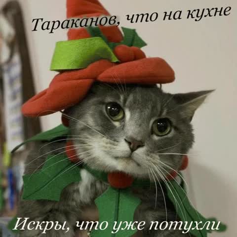 Наступает новый год