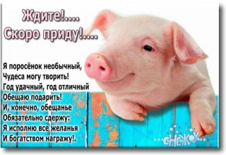 QfpTzRcKduA