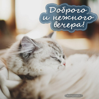 Доброго_и_нежного_вечера29