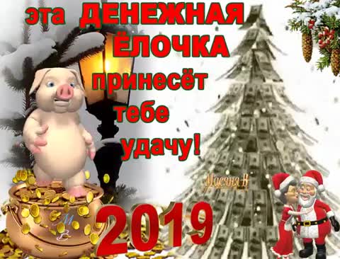 image_11