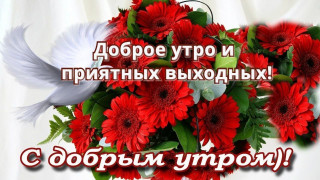 С_добрым_утром_30_12