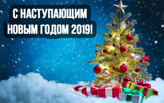 С_наступающим_новым_2019