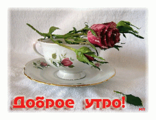 dobrym-zimnim-utrom_31_12