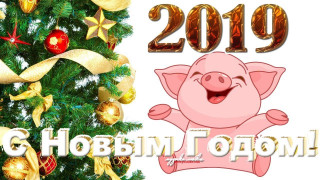 С_новым_2019_годом