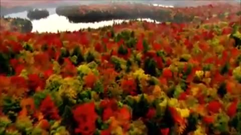 Музыка для души